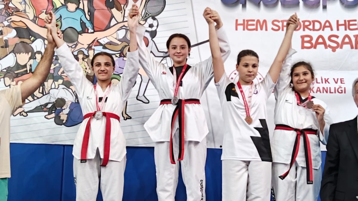 Taekwondo Başarımız